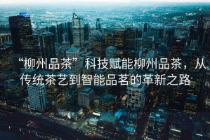 “柳州品茶”科技賦能柳州品茶，從傳統(tǒng)茶藝到智能品茗的革新之路