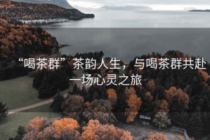 “喝茶群”茶韻人生，與喝茶群共赴一場心靈之旅