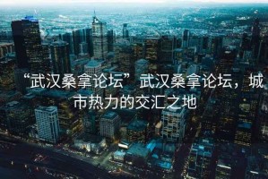 “武漢桑拿論壇”武漢桑拿論壇，城市熱力的交匯之地