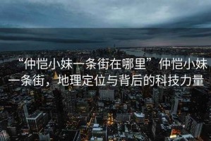 “仲愷小妹一條街在哪里”仲愷小妹一條街，地理定位與背后的科技力量