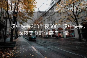 “漢中快餐200半夜500”漢中快餐，深夜美食的誘惑與力量