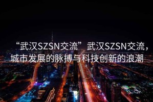 “武漢SZSN交流”武漢SZSN交流，城市發(fā)展的脈搏與科技創(chuàng)新的浪潮