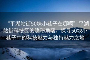 “平湖站街50塊小巷子在哪啊”平湖站街科技區(qū)的隱秘角落，探尋50塊小巷子中的科技魅力與獨特魅力之地
