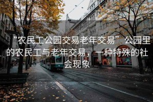 “農(nóng)民工公園交易老年交易”公園里的農(nóng)民工與老年交易，一種特殊的社會現(xiàn)象