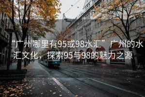 “廣州哪里有95或98水匯”廣州的水匯文化，探索95與98的魅力之源