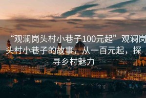 “觀瀾崗頭村小巷子100元起”觀瀾崗頭村小巷子的故事，從一百元起，探尋鄉(xiāng)村魅力
