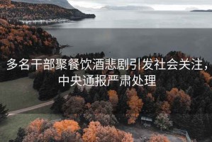 多名干部聚餐飲酒悲劇引發(fā)社會關(guān)注，中央通報嚴(yán)肅處理