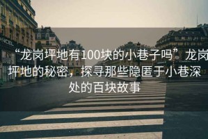 “龍崗坪地有100塊的小巷子嗎”龍崗坪地的秘密，探尋那些隱匿于小巷深處的百塊故事