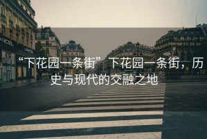 “下花園一條街”下花園一條街，歷史與現(xiàn)代的交融之地