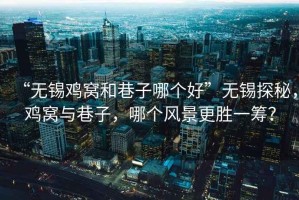 “無錫雞窩和巷子哪個(gè)好”無錫探秘，雞窩與巷子，哪個(gè)風(fēng)景更勝一籌？