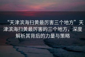 “天津?yàn)I海掃黃最厲害三個(gè)地方”天津?yàn)I海掃黃最厲害的三個(gè)地方，深度解析其背后的力量與策略
