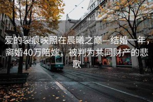 愛的裂痕映照在晨曦之巔—結(jié)婚一年，離婚40萬陪嫁，被判為共同財產(chǎn)的悲歌