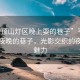 “平頂山燈區(qū)晚上耍的巷子”平頂山燈區(qū)夜晚的巷子，光影交織的夜生活魅力