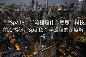 “Spa18個(gè)半流程是什么意思”科技前沿揭秘，Spa 18個(gè)半流程的深度解析