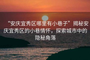 “安慶宜秀區(qū)哪里有小巷子”揭秘安慶宜秀區(qū)的小巷情懷，探索城市中的隱秘角落