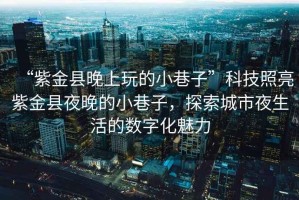 “紫金縣晚上玩的小巷子”科技照亮紫金縣夜晚的小巷子，探索城市夜生活的數(shù)字化魅力