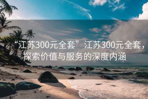 “江蘇300元全套”江蘇300元全套，探索價值與服務(wù)的深度內(nèi)涵