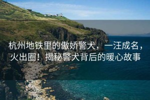 杭州地鐵里的傲嬌警犬，一汪成名，火出圈！揭秘警犬背后的暖心故事