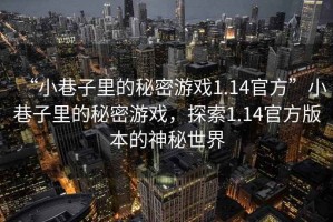 “小巷子里的秘密游戲1.14官方”小巷子里的秘密游戲，探索1.14官方版本的神秘世界