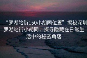 “羅湖站街150小胡同位置”揭秘深圳羅湖站街小胡同，探尋隱藏在日常生活中的秘密角落