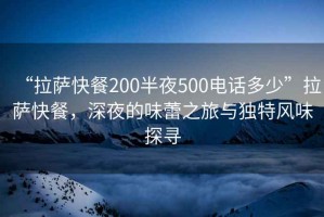 “拉薩快餐200半夜500電話多少”拉薩快餐，深夜的味蕾之旅與獨特風味探尋