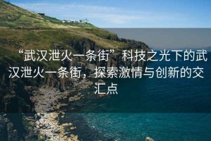 “武漢泄火一條街”科技之光下的武漢泄火一條街，探索激情與創(chuàng)新的交匯點(diǎn)
