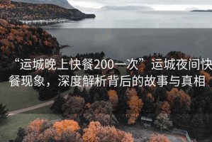 “運(yùn)城晚上快餐200一次”運(yùn)城夜間快餐現(xiàn)象，深度解析背后的故事與真相