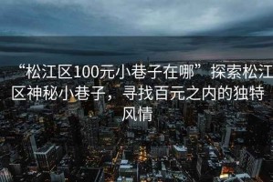 “松江區(qū)100元小巷子在哪”探索松江區(qū)神秘小巷子，尋找百元之內(nèi)的獨(dú)特風(fēng)情