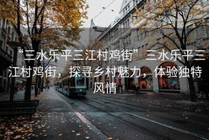 “三水樂平三江村雞街”三水樂平三江村雞街，探尋鄉(xiāng)村魅力，體驗獨特風(fēng)情