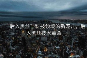 “后入黑絲”科技領(lǐng)域的新寵兒，后入黑絲技術(shù)革命