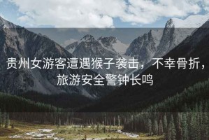 貴州女游客遭遇猴子襲擊，不幸骨折，旅游安全警鐘長鳴