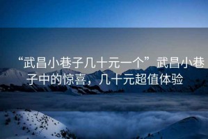 “武昌小巷子幾十元一個”武昌小巷子中的驚喜，幾十元超值體驗
