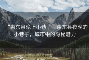 “惠東縣晚上小巷子”惠東縣夜晚的小巷子，城市中的隱秘魅力