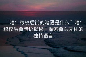 “喀什糧校后街的暗語是什么”喀什糧校后街暗語揭秘，探索街頭文化的獨特語言