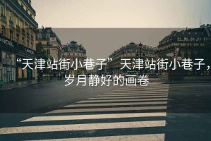 “天津站街小巷子”天津站街小巷子，歲月靜好的畫卷