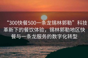 “300快餐500一條龍錫林郭勒”科技革新下的餐飲體驗，錫林郭勒地區(qū)快餐與一條龍服務(wù)的數(shù)字化轉(zhuǎn)型