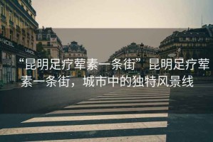 “昆明足療葷素一條街”昆明足療葷素一條街，城市中的獨特風景線