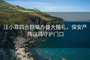 汪小菲四合院舉辦盛大婚禮，保安嚴(yán)陣以待守護門口