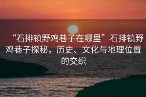 “石排鎮(zhèn)野雞巷子在哪里”石排鎮(zhèn)野雞巷子探秘，歷史、文化與地理位置的交織