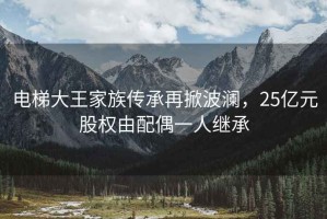 電梯大王家族傳承再掀波瀾，25億元股權(quán)由配偶一人繼承