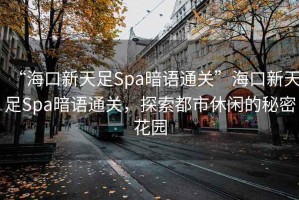 “?？谛绿熳鉙pa暗語通關(guān)”?？谛绿熳鉙pa暗語通關(guān)，探索都市休閑的秘密花園