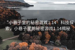 “小巷子里的秘密游戲1.14”科技探索，小巷子里的秘密游戲1.14揭秘