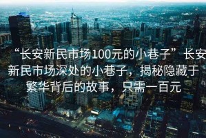 “長安新民市場100元的小巷子”長安新民市場深處的小巷子，揭秘隱藏于繁華背后的故事，只需一百元