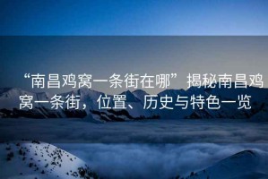 “南昌雞窩一條街在哪”揭秘南昌雞窩一條街，位置、歷史與特色一覽