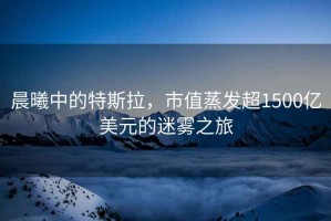 晨曦中的特斯拉，市值蒸發(fā)超1500億美元的迷霧之旅