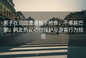 男子在公園遭遇猴子搶食，不幸挨巴掌，網友熱議動物保護與游客行為規(guī)范