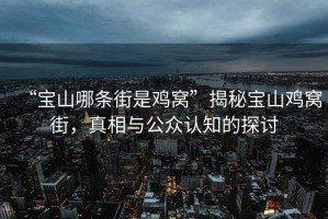 “寶山哪條街是雞窩”揭秘寶山雞窩街，真相與公眾認(rèn)知的探討