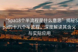 “Spa18個半流程是什么意思”揭秘Spa的十八個半流程，深度解讀其含義與實際應(yīng)用