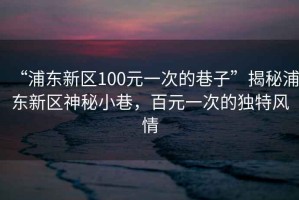 “浦東新區(qū)100元一次的巷子”揭秘浦東新區(qū)神秘小巷，百元一次的獨(dú)特風(fēng)情
