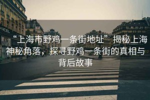 “上海市野雞一條街地址”揭秘上海神秘角落，探尋野雞一條街的真相與背后故事
